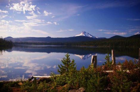 10346200_10152686258182973_7849217653446826179_n