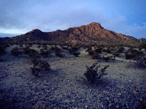 10606234_10152982514447973_7820848452982099813_n