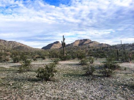 1724630_10152128185347973_978855682_n