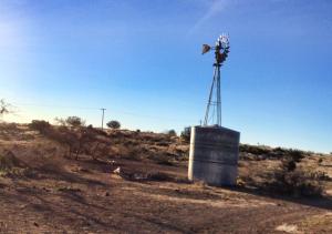 1801347_10152172873962973_85272951_o