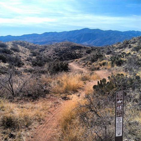 1966690_10152178653057973_594625006_n