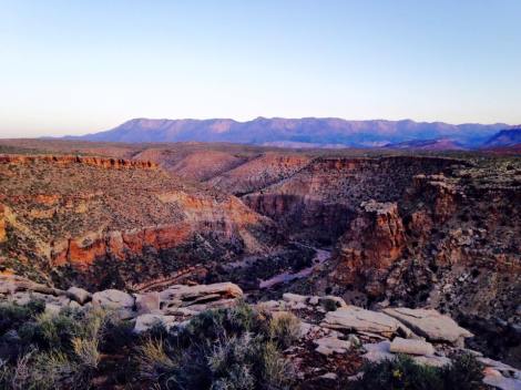 11009984_10152964329839340_5731568216073125170_n